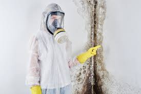 Mold Removal for HVAC Installations in Mehlville, MO